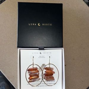 Luna Norte earrings